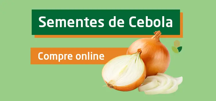 Compre online sementes de cebola