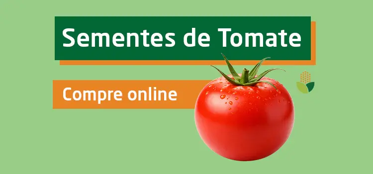 Comprar sementes de tomate online