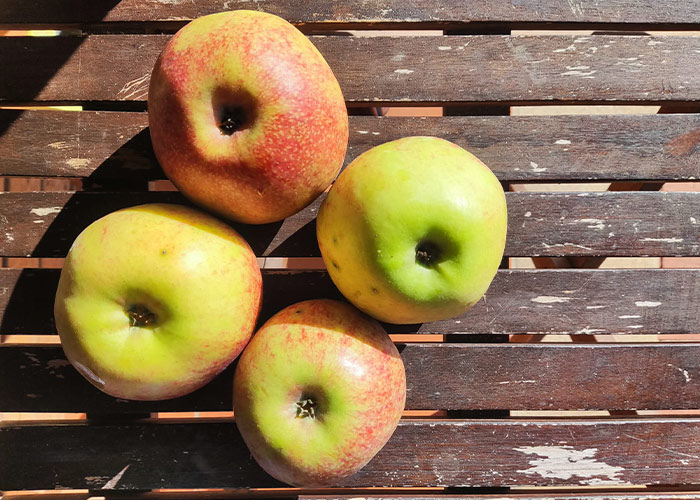 Conheça os tipos, características e benefícios das maçãs