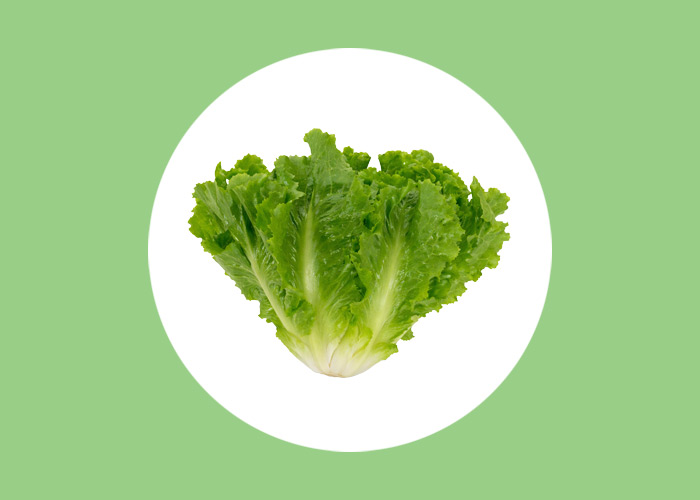Alface Escarola
