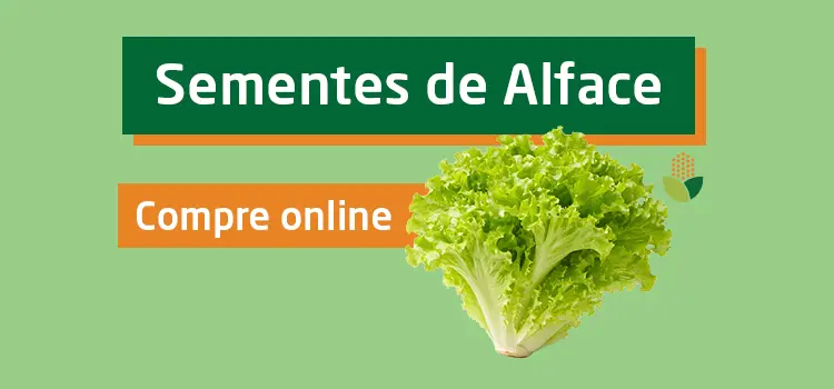 Compre sementes de alface online