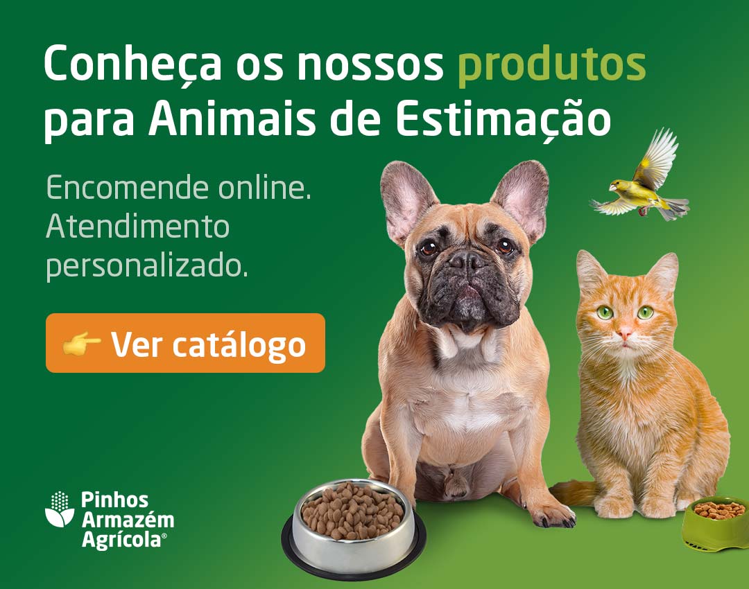 Banner catálogo animais de estimação