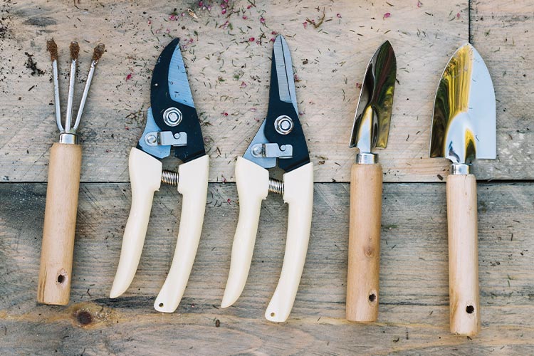 Como limpar ferramentas agrícolas de forma correta e que evite propagação de doenças e pragas