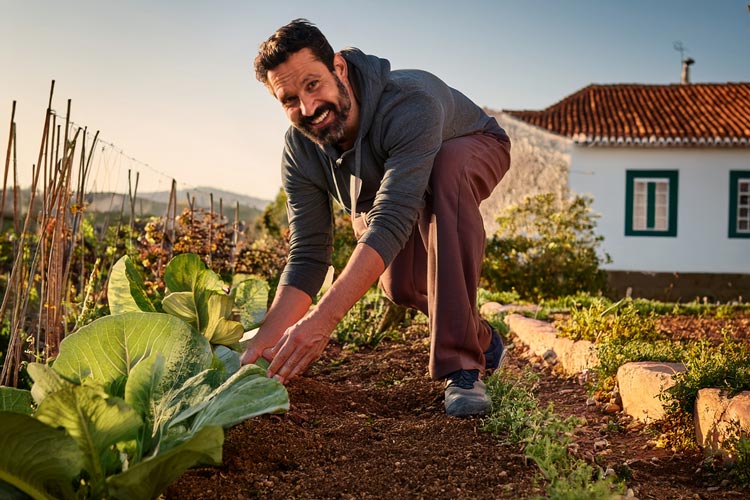 10 perguntas principiantes na horta - questoes faceis e claras de profissionais do retalho de comercio de produtos agrícolas
