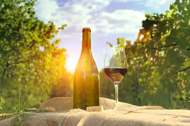 5 Vinhos Económicos Imperdíveis