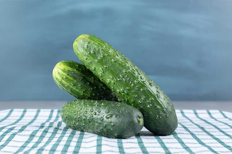 Como cultivar pepino em Portugal