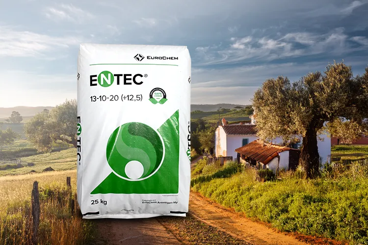 Tudo sobre adubação quiímica na sua horta. O que são fertilizantes e como os utilizar na horta.