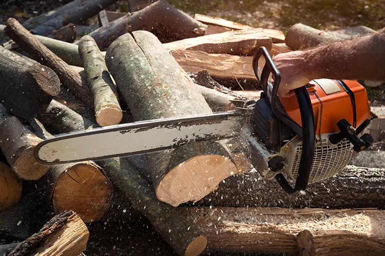 Como escolher uma motoserra - guia completo para iniciantes