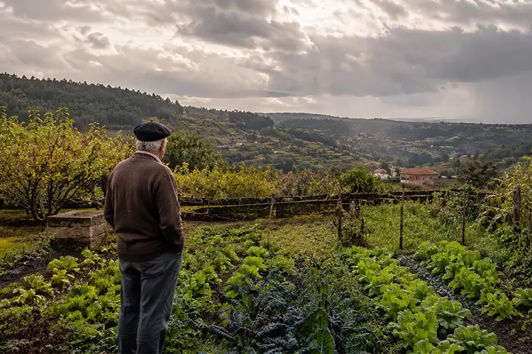 10 provérbios tradicionais portugueses sobre o tempo na agricultura