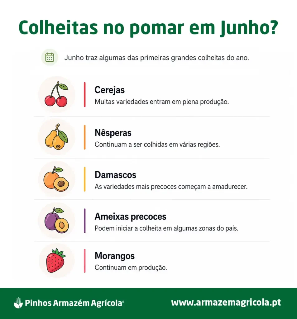Infografia sobre colheitas no pomar em Junho