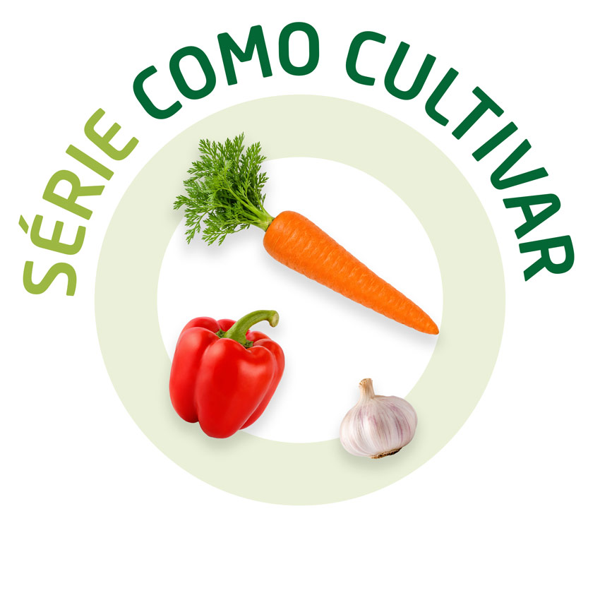 Gráfico Série Como Cultivar