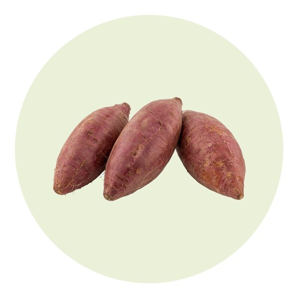 Como plantar batata-doce
