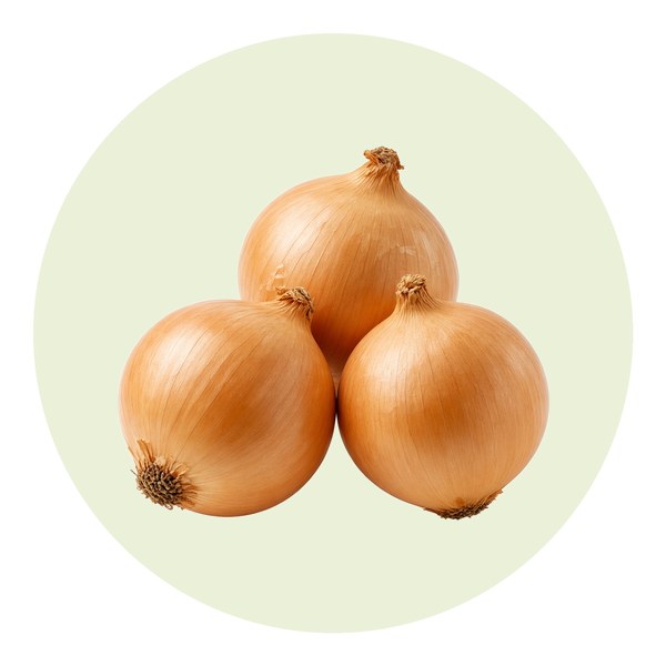 Como plantar cebola