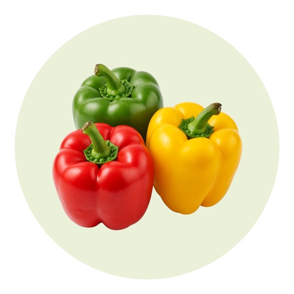 Como plantar pimento